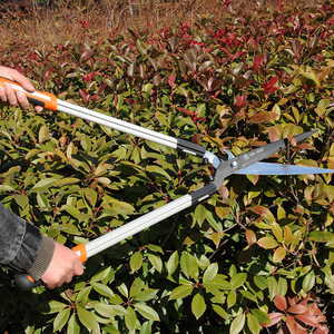 Old Friend Hedge Shears 1.5 In Stainless Steel Manual Pruning Tool For Garden Branches - Product Image 2
