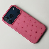 Étui de téléphone portable magnétique en cuir d'autruche véritable de haute qualité exotique pour iPhone 17 Pro Max
