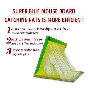 Hot Selling Pest Control Ratten kleber falle Karton verpacktes Klebe papier für effektiven Maus-und Skorpion <span class=keywords><strong>killer</strong></span> - Product Image 2