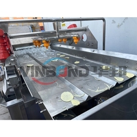 Automatische Cashewnoot Pinda Wasmachine Moer Wasmachine