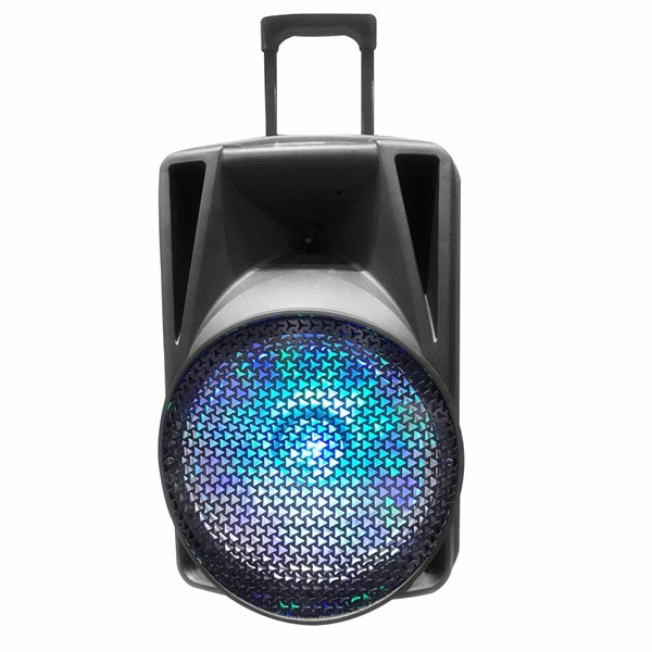 12 Inch Trolley Speaker with Wireless Mic Sound pa System