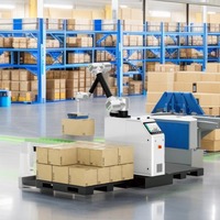 Machine de palettisation robot réglable avec protection de sécurité et cueilleur de vide pour une utilisation logistique