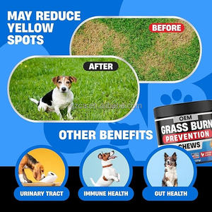 Chews para Prevenção de Queimaduras em Grama para Cães, Suplemento de Suporte Imunológico e Trato Urinário, Amostra Grátis Disponível - Product Image 2