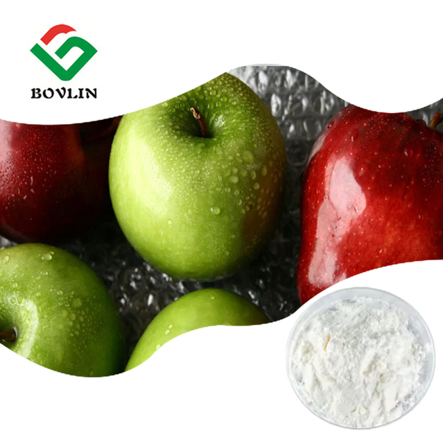 100% Pure Apple Juice Concentrate Powder Apple Flavor Powder