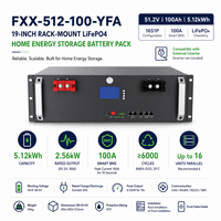 Batería de Almacenamiento de Energía LiFePO4 Integrada en Pared con BMS, 51.2V 100Ah 5.12kWh, 6000 Ciclos, Compatible con Conexión en Paralelo