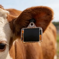 Etiqueta Inteligente Resistente para Orejas de Animales, Rastreador GPS para Ganado y Ovejas con Clasificación IP67 a Prueba de Agua para Entornos Hostiles