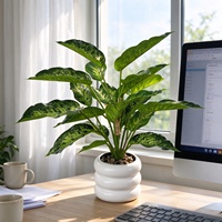 Tanaman Bonsai Dieffenbachia Buatan Berwarna-warni Simulasi Daun Palsu Dekorasi Meja Rumah Hotel Grosir
