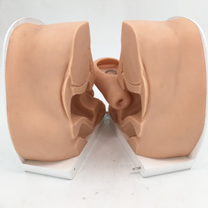 Modello Anatomico Avanzato per Formazione Medica sulla Guida alla Contraccezione Femminile in PVC Certificato per Insegnanti e Ospedali - Product Image 2