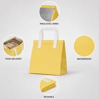 Sac isotherme personnalisé en non-tissé, capacité 20-36L, écologique et imperméable, pour la livraison d'aliments, de boissons et de gâteaux (vente en gros)
