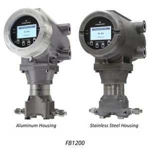 100% Original Emerson FB1200 Explosions geschützter Mehrlauf computer für Gas und Flüssigkeiten 1 Jahr Garantie ASTM Standard - Product Image 1