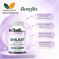 Bonbons gélifiés au Shilajit sans sucre et sans OGM pour adultes, saveur fruits mélangés, complément alimentaire, faible MOQ, production en gros