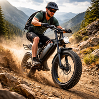 Vélo électrique robuste à gros pneu avec moteur de moyeu arrière et moteur sans balais à batterie au lithium VTT tout-terrain pour terrain de montagne