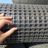DaringFish Géogrille géosynthétique pour la construction de voies ferrées, autoroutes et aéroports, et la clôture de jardins