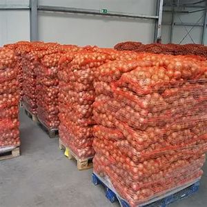 Nouvelle récolte d'oignons jaunes violet jaune <span class=keywords><strong>échalote</strong></span>s fraîches pelées <span class=keywords><strong>prix</strong></span> de gros exportation de légumes pour la plantation d'agriculteurs - Product Image 3