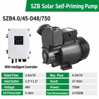 Pompe à eau auto-amorçante solaire DC 24V 48V avec contrôleur MPPT pour l'irrigation agricole