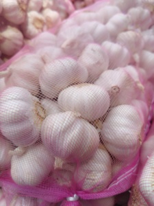 2025 nuovo raccolto aglio fresco dal produttore normale bianco Alho Ajo fornitura diretta all'ingrosso - Product Image 6