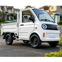 Camionnette électrique 2 places L6e norme européenne, véhicule à énergie nouvelle, 72V 70Ah, batterie plomb-acide, caméra de recul E-Glass