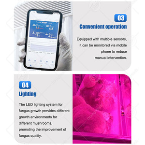 ORME, солнечная энергия, 40-футовый контейнер, фермерский дом, автоматическое оборудование для выращивания грибов - Product Image 3