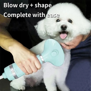 Taşınabilir Pet temizlik bakım ürünleri elektrikli darbe kuru temizleme Denoise kedi köpek epilasyon hayvan kurutma makinesi - Product Image 4