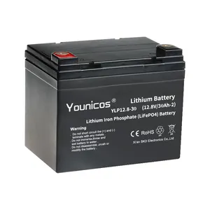 Agli ioni di litio lifepo4 12v 30ah batteria al litio batterie agli ioni di litio