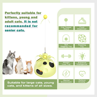 Jouet interactif pour chat, distributeur de nourriture, boule de jeu rotative, bâton de chat, jouet pour chat d'intérieur
