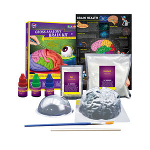 सकल शरीर रचना मस्तिष्क किट विच्छेदन विज्ञान प्रयोगों मानव विज्ञान किट लड़कों और लड़कियों के लिए - Product Image 3