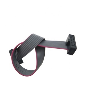 Cabo Flat Interno de 160MM com Conector IDC de 10 Pinos, Passo de 1.27mm, Dupla Fileira (2x5 Pinos), 20 Pinos, para Veículos Aéreos Não Tripulados - Product Image 1