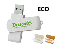 Clé USB en bois ECO 2 Go avec emballage personnalisé et garantie de 2 ans, interface USB 2.0