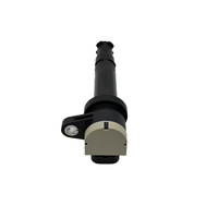 17210-1490 1721014900 Convient aux bobines d'allumage et aux pièces automobiles Samsung/Renault