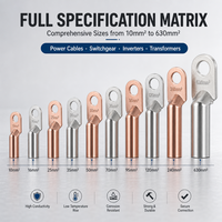 Embout de câble en cuivre pur série DT DT10-300, embout de sertissage par compression pour connexion de mise à la terre des câbles d'alimentation
