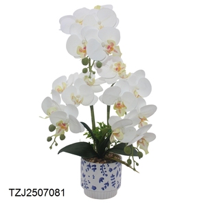 Tizen fleurs Phalaenopsis pluie pierre bonsaï 3D imprimé <span class=keywords><strong>Pot</strong></span> <span class=keywords><strong>de</strong></span> <span class=keywords><strong>fleur</strong></span> <span class=keywords><strong>artificielle</strong></span> pour bureau bureau décoration orchidée - Product Image 3