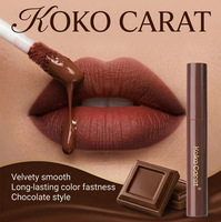 Ensemble de 5 gloss à lèvres mats au chocolat, rouge à lèvres liquide velours, boue à lèvres, longue tenue, imperméable, anti-bavures, kit de maquillage pour femmes