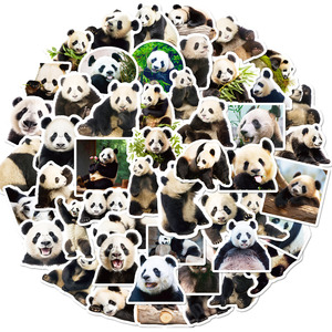 50PCS Mignon Panda Géant Autocollant Planche À Roulettes Autocollant Décoratif Étanche Diy Autocollants pour Enfants - Product Image 3