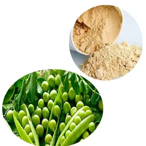 High Quality Organic Pea Protein Isolate 80% 85% With Halal