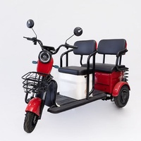 Vente en gros transfrontalière : Phares de voiture 48V haute luminosité pour tricycle électrique à trois places, avec cadre sur mesure et autonomie longue durée, robustes