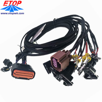 Harnes Kawat Otomatis Kustom dan Rakitan Kabel