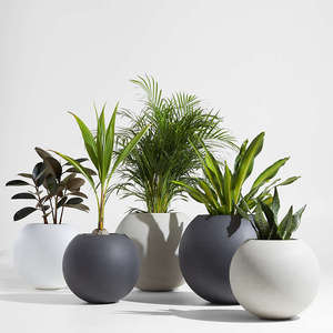 Pot de fleur en <span class=keywords><strong>céramique</strong></span> de ciment de planteur <span class=keywords><strong>extérieur</strong></span> d'intérieur de forme de boule unique pour le <span class=keywords><strong>cactus</strong></span> succulent - Product Image 3