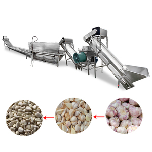 Máquina peladora de ajo Automática Industrial/línea de máquina peladora de dientes de ajo/máquina peladora de ajo - Product Image 4