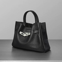 Sac Lazy Platinum, sac de mode coréen de niche, nouveau sac de mode polyvalent, style luxe léger, sac à main pour femmes, durable, pour les trajets quotidiens