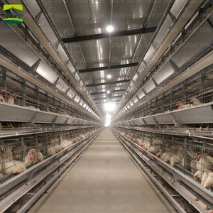 Hot Bán thiết kế mới tự động gà lồng nhà lõi thành phần gia cầm trang trại h-loại pin lồng cho lớp - Product Image 2