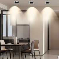 Projecteur à double tête carrée 20W à spectre complet et angle de faisceau de 36 degrés-le meilleur choix pour l'éclairage d'accentuation des magasins commerciaux
