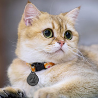 Étiquette d'identification pour animaux de compagnie intelligente, scannable, multilingue, avec code QR, en ABS léger, simple, anti-perte pour chiens, pour les promenades en extérieur