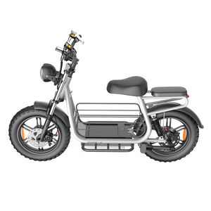 Huisdiervriendelijke Tweewieler 750W 1500W Motor Motorfiets Dikke Band Elektrische Scooter Voor Volwassene Met Grote Hond - Product Image 2