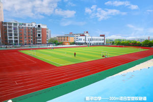 Suelo deportivo híbrido INOLP, funcionamiento silencioso con diseño de reducción de ruido para áreas residenciales y pistas de atletismo - Product Image 3