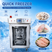Congélateur rapide commercial à air pulsé pour aliments et boissons, machine de congélation à l'azote liquide