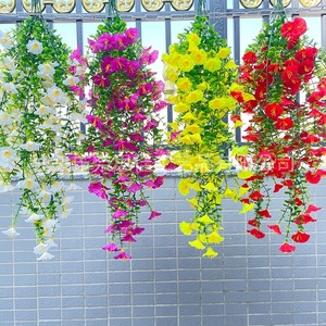 Vigne de rose grimpante décorative 'English Arizona Arch' pour 'Seven Together', 'Lilac Mini' <span class=keywords><strong>et</strong></span> 'Vigne de rose grimpante noire' - Product Image 1