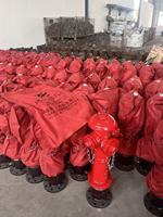 Piliers d'incendie en fonte multi-sorties pour la lutte contre l'incendie, l'alimentation en eau municipale et les utilisations d'urgence en rue – Durables