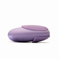 Ensemble de brosses nettoyantes faciales électriques sans fil en silicone imperméable à l'eau pour le visage Sonic en gros