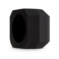 Filtre en mousse pour microphone, éponge insonorisante, filtre d'enregistrement, écran de protection personnalisé pour microphone de studio, bouclier d'isolation pour microphone