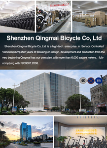 Bicicleta Eléctrica Fatbike V20 Limited con Descuento, 250W, Neumático Grueso 20*4\", Batería de 48V 15.6Ah, Frenos de Disco Dobles, Suspensión, Bicicleta Eléctrica Urbana - Product Image 5